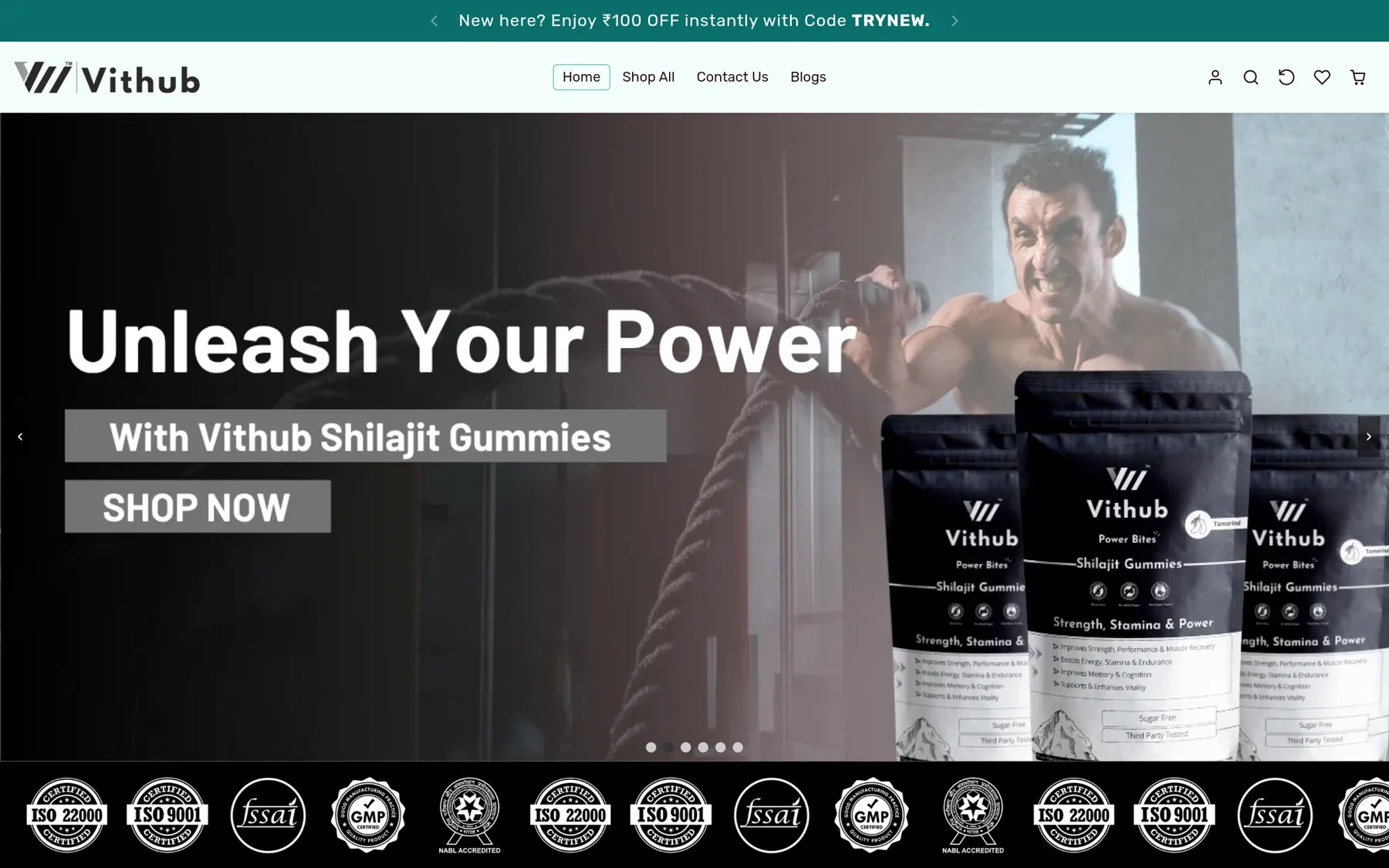 Vithub website